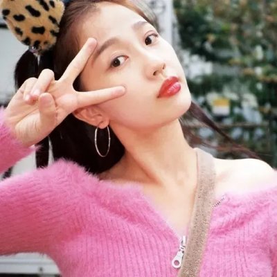 狼与狮子封面